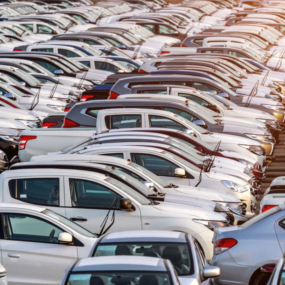 kia kara uokik dealerzy samochodowi związek dealerów samochodów