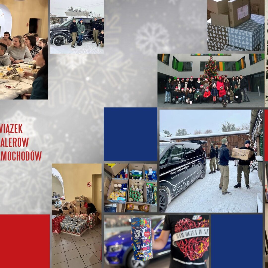 Kopia Badanie ankietowe rynku dealerskiego (1)