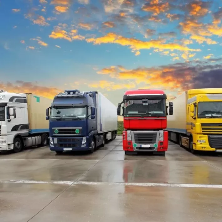 Depositphotos_58255091_xl-2015-1024×709