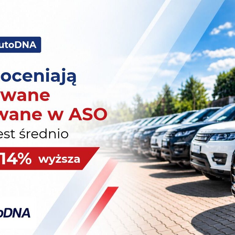 Raport_ZDS_autoDNA_www